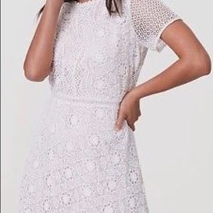 NWT Ann Taylor LOFT White Lace Dress
